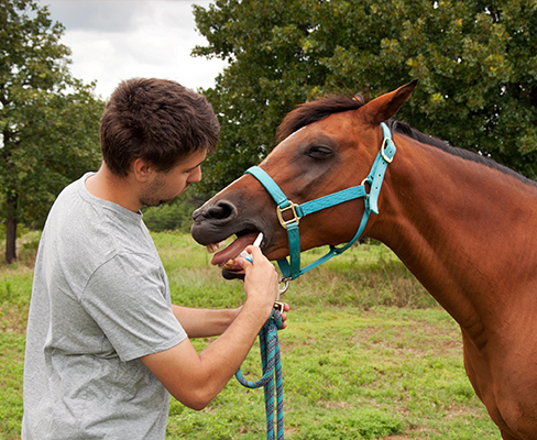 Dewormers