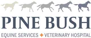 Pine Bush Equine Services & Veterinary Hospital